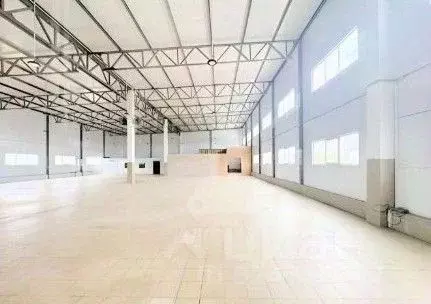 Склад в Ленинградская область, Отрадное Кировский район, Ленинградское ... - Фото 2