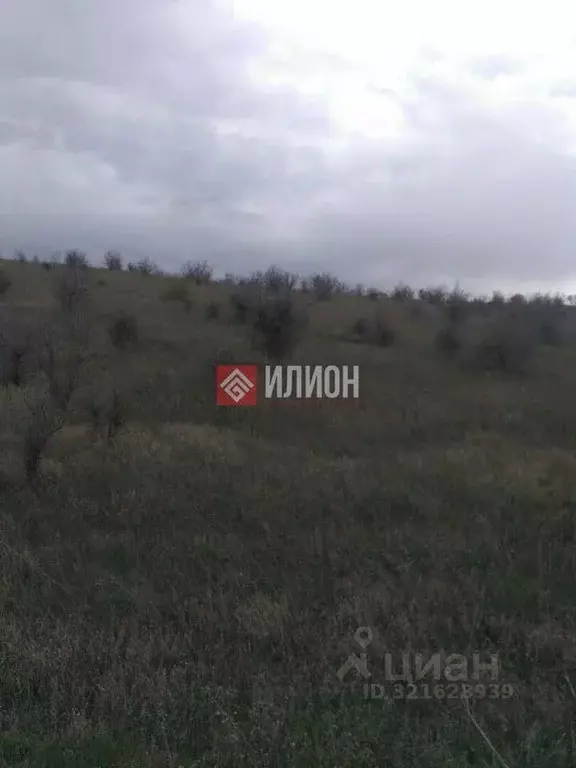 Участок в Крым, Бахчисарайский район, Песчановское с/пос, с. Береговое ... - Фото 1