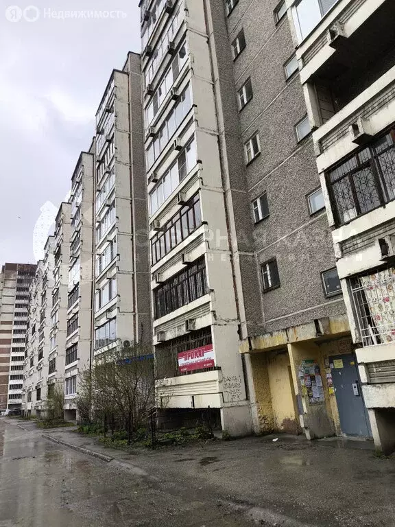 1-комнатная квартира: Екатеринбург, улица Красных Борцов, 19 (25.2 м) - Фото 0