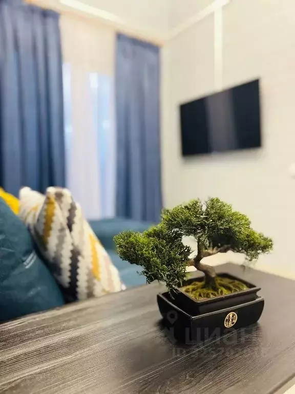 Дом в Московская область, Раменский муниципальный округ, Эковита-Аква ... - Фото 2