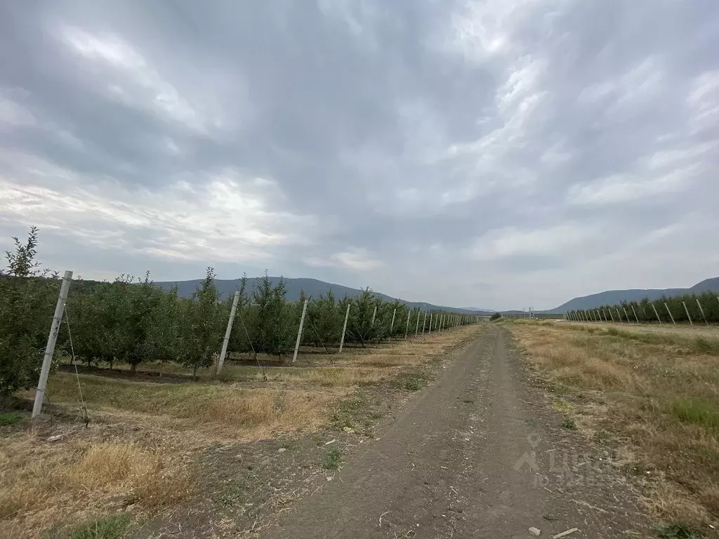 Участок в Крым, Белогорский район, Курское с/пос  (18.8 сот.) - Фото 1