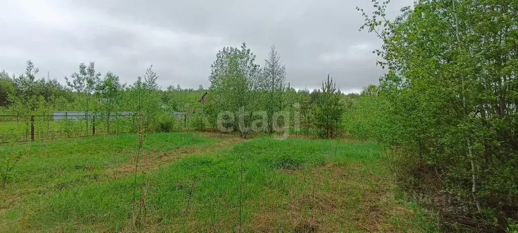 Участок в Коми, Сыктывдинский район, Палевицы муниципальное ... - Фото 0