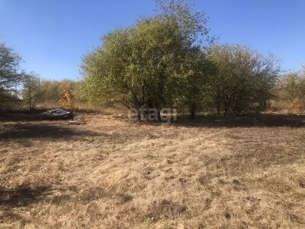 Участок в Белгородская область, Белгородский район, с. Стрелецкое ул. ... - Фото 1