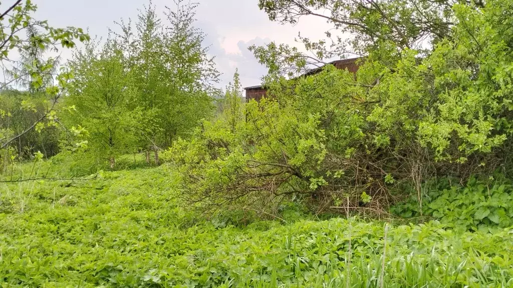 Участок в Московская область, Солнечногорск городской округ, д. Новая  ... - Фото 2