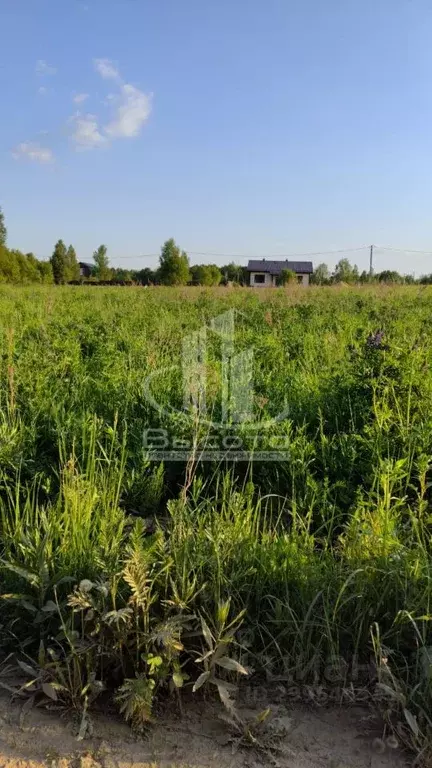 Участок в Калужская область, Калуга городской округ, д. Колюпаново ул. ... - Фото 2