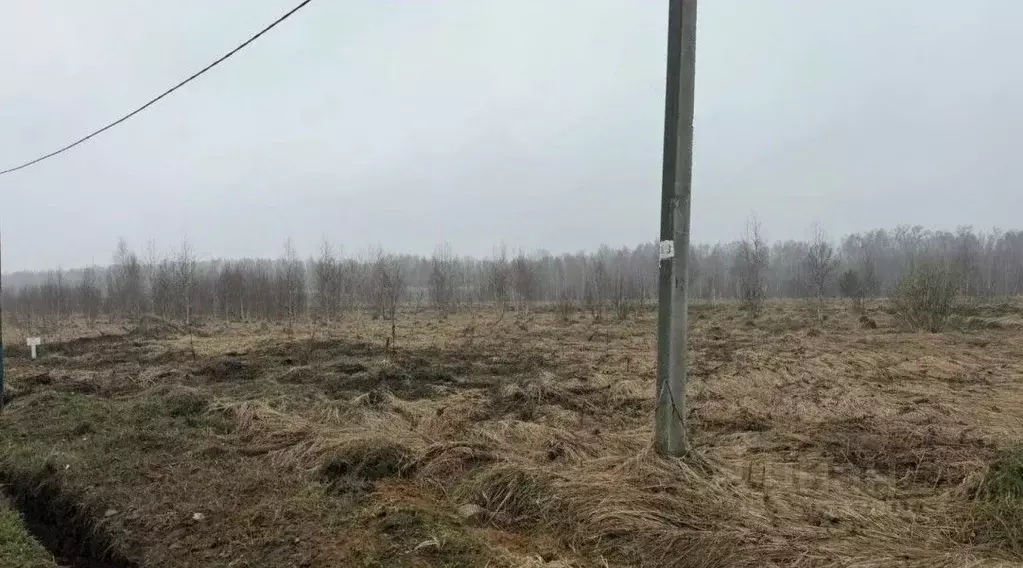 Участок в Московская область, Серпухов городской округ, д. Лукино  ... - Фото 2