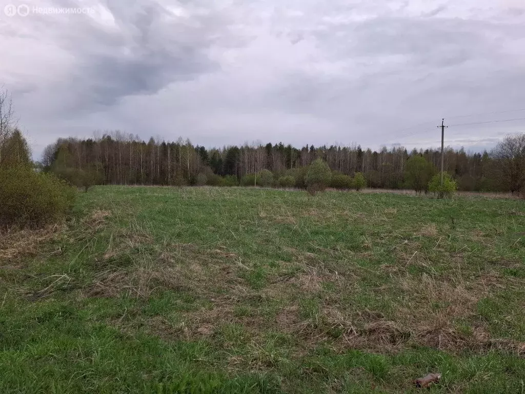 Участок в село Талицы, улица 40 лет Победы (20 м) - Фото 1