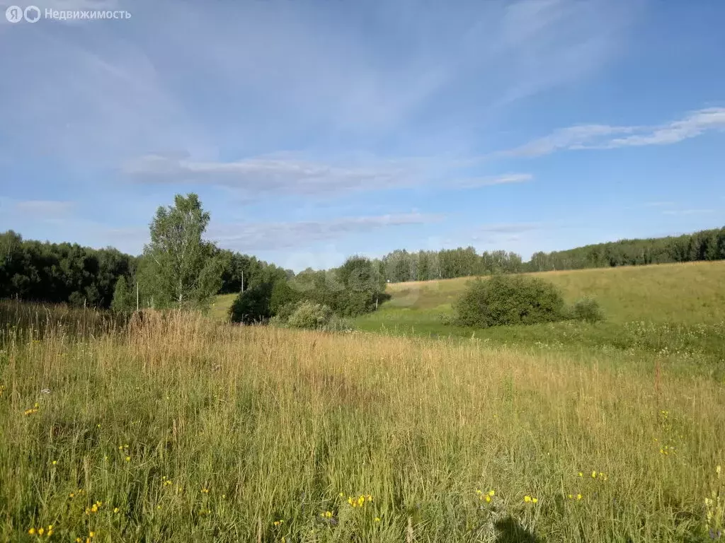 Участок в Новосибирск (850 м) - Фото 0