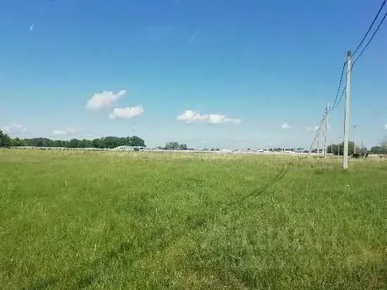 Участок в Самарская область, Ставропольский район, Нижнее Санчелеево ... - Фото 0