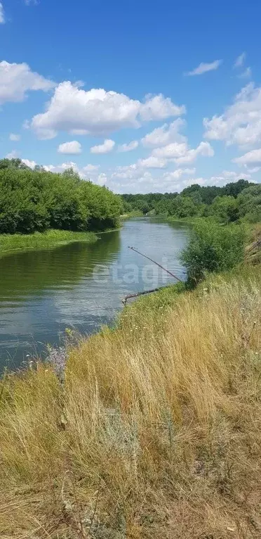 Участок в Саратовская область, Балашовский район, Большемеликское ... - Фото 0