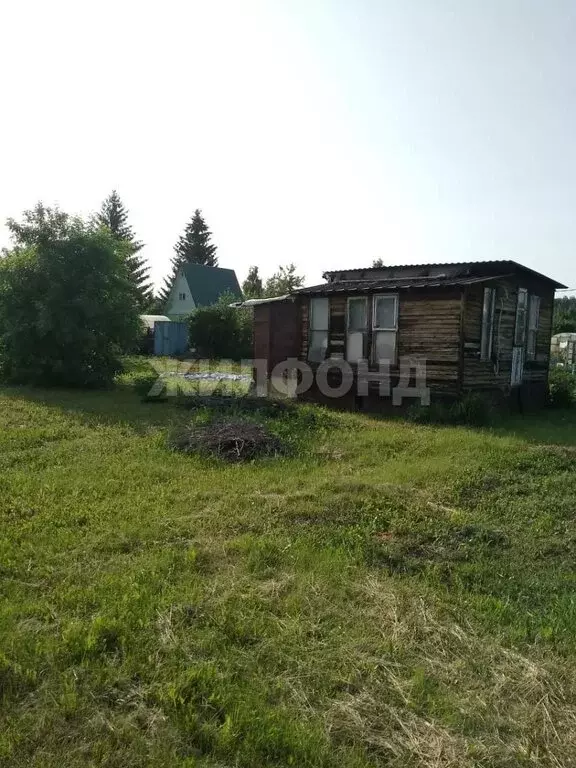 Дом в Новосибирская область, Коченёвский муниципальный район, ДНТ ... - Фото 1