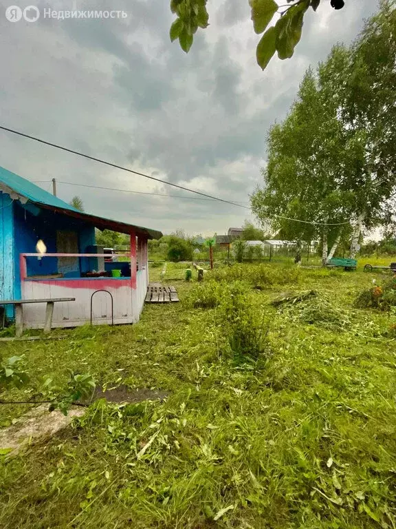 Участок в Старокамышлинский сельсовет, коллективный сад Исток, 224 (8 ... - Фото 2