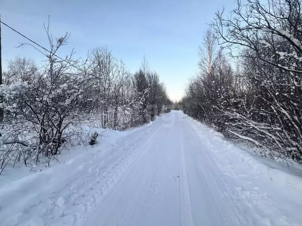 Участок в Архангельская область, Архангельск пос. Цигломень, ул. ... - Фото 2