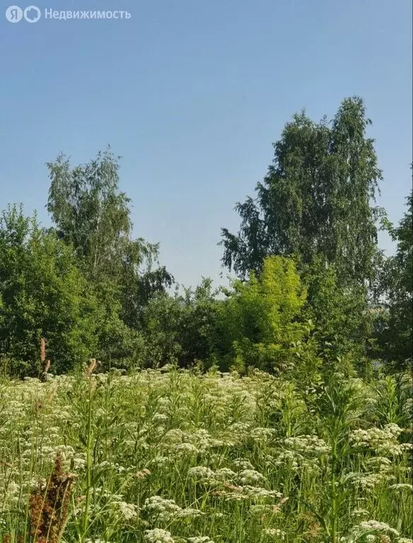 Участок в село Варварское, Центральная улица (15 м) - Фото 2