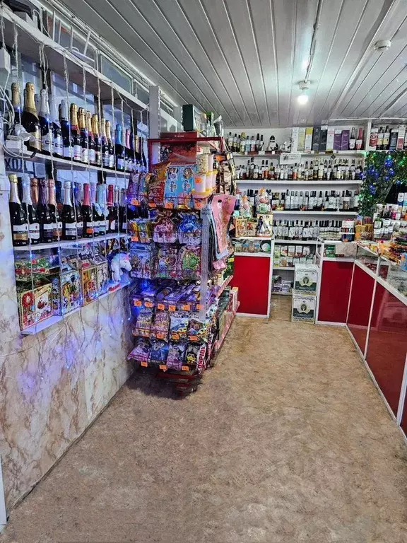 Торговая площадь в Северная Осетия, Владикавказ Кырджалийская ул., 15А ... - Фото 2