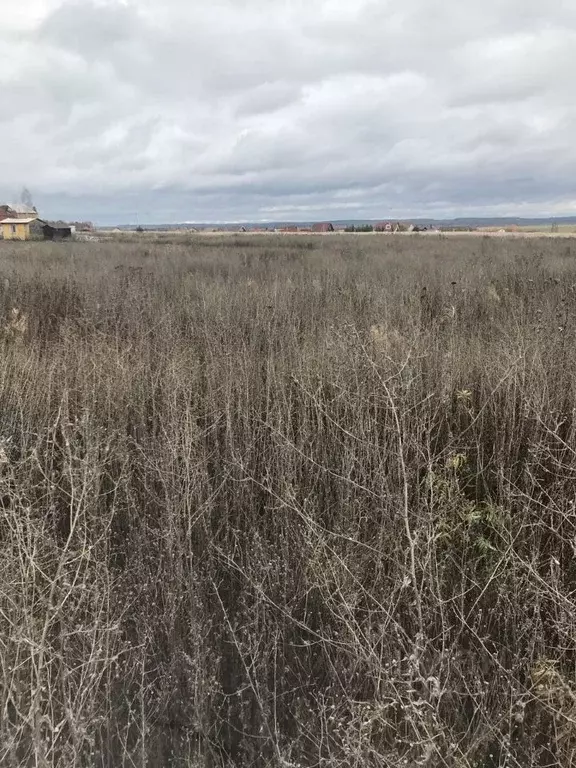 Участок в Московская область, Зарайск Зарайск муниципальный округ, ул. ... - Фото 1