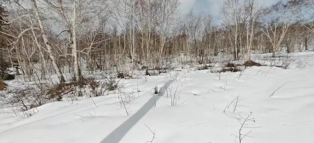 Участок в Камчатский край, Елизовский муниципальный округ, Рябинушка ... - Фото 1