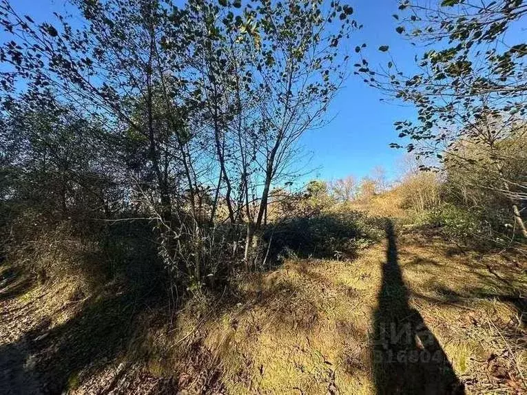 Участок в Краснодарский край, Сочи городской округ, с. Черешня ул. ... - Фото 0