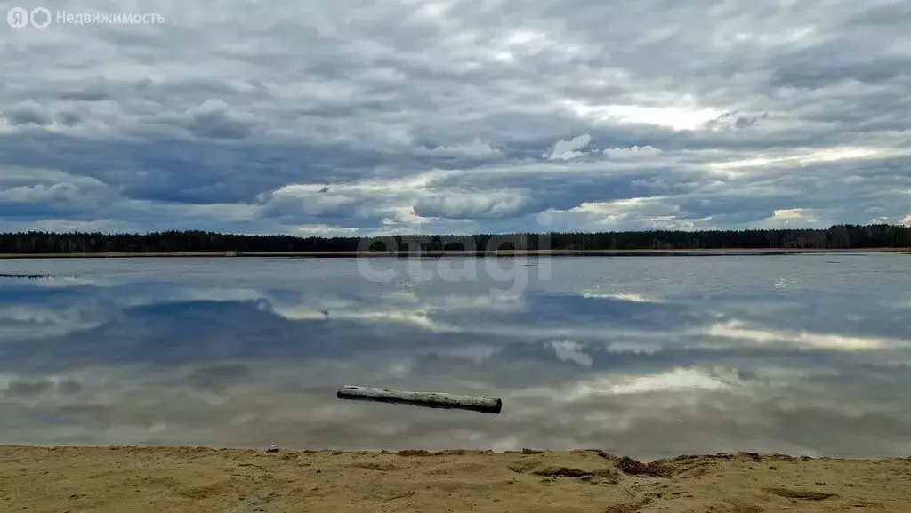 Участок в Нижегородская область, муниципальный округ Навашинский, село ... - Фото 1