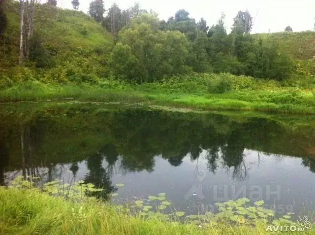 Участок в Московская область, Можайский муниципальный округ, д. ... - Фото 1