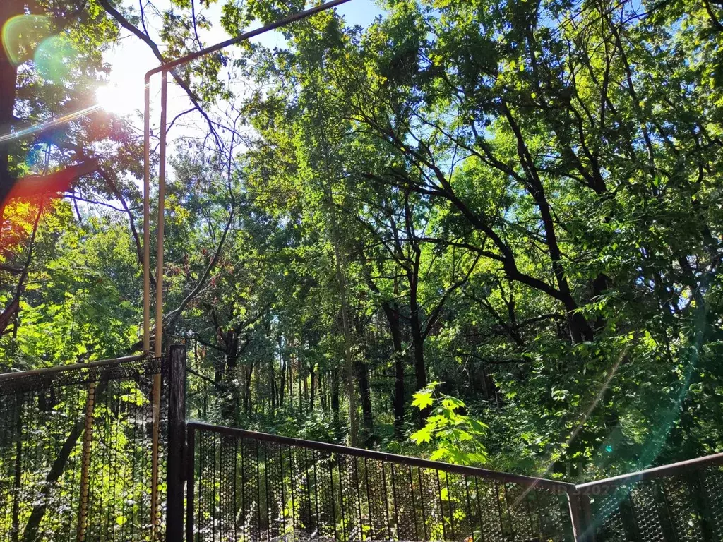 Участок в Ульяновская область, Ульяновск городской округ, пос. ... - Фото 2