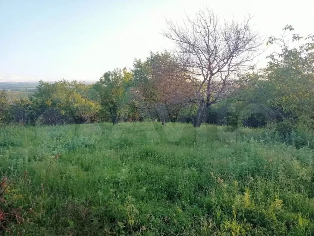 Участок 4 сот. (СНТ, ДНП) - Фото 1
