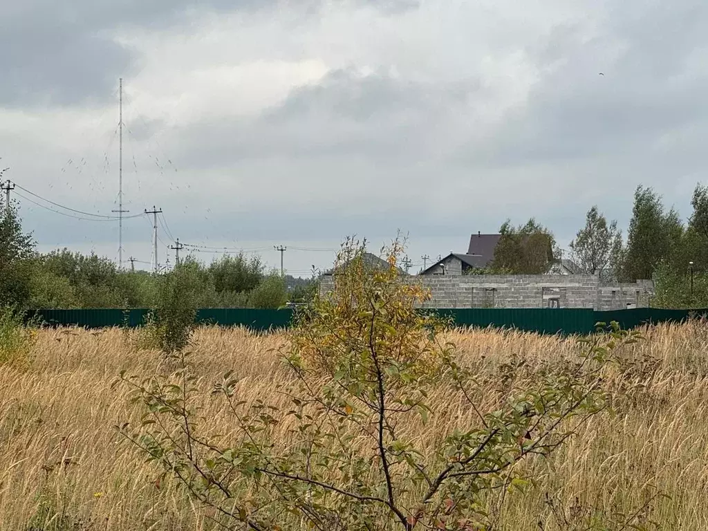 Участок в Московская область, Богородский городской округ, д. Новое ... - Фото 1