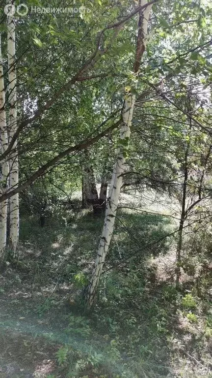 Участок в село Марусино, микрорайон Лебяжье (5 м) - Фото 2