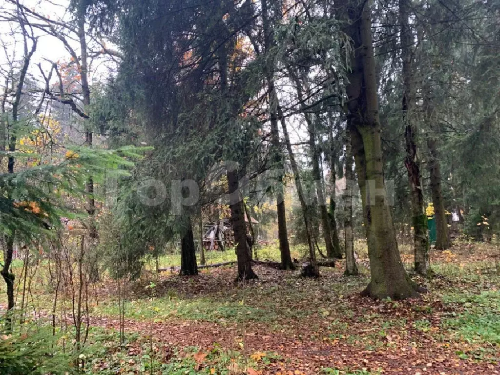 Продается участок в г. Лобня - Фото 2