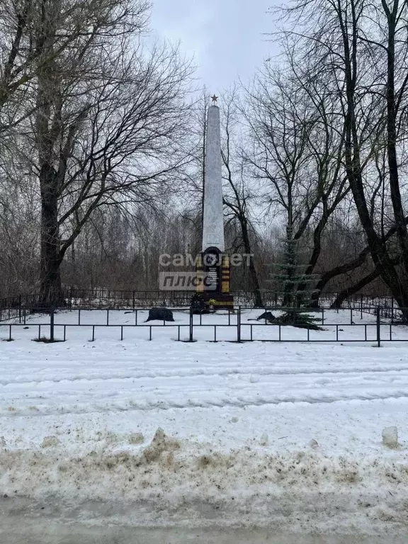 Участок в Нижегородская область, Бор городской округ, с. Ивановское  ... - Фото 0