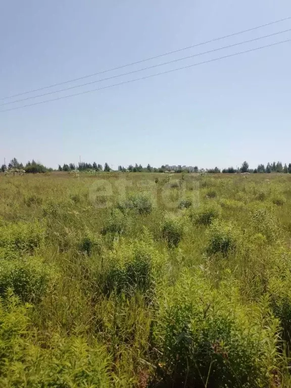 Участок в Псковская область, Псковский район, Завеличенская волость, ... - Фото 1