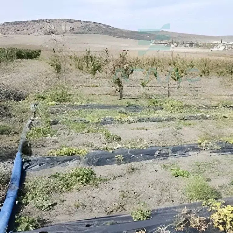 Участок в Крым, Бахчисарайский район, Почтовское с/пос, с. ... - Фото 2