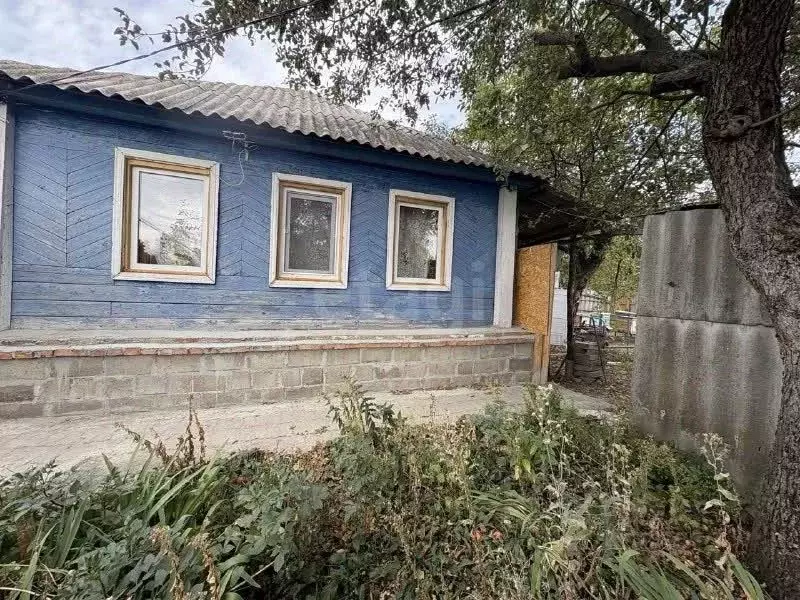 Дом в Белгородская область, Корочанский район, Яблоновское с/пос, ... - Фото 1