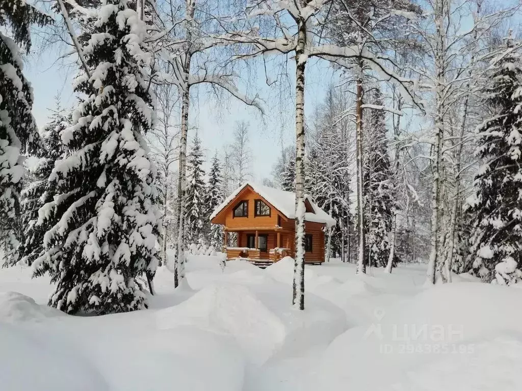 Дом в Карелия, Питкярантский муниципальный округ, д. Янис ул. ... - Фото 1