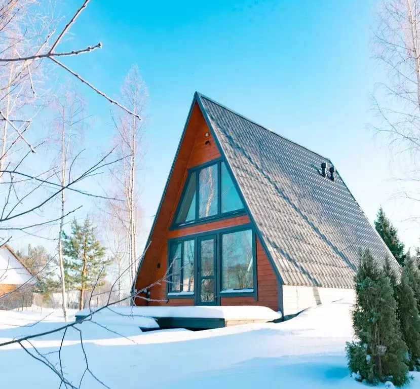 Дом в Ленинградская область, Лужский район, Заклинское с/пос, д. ... - Фото 1