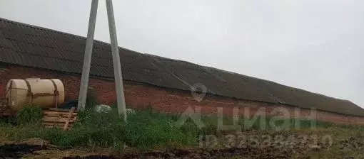 Гараж в Пензенская область, Бессоновский район, с. Александровка ... - Фото 2