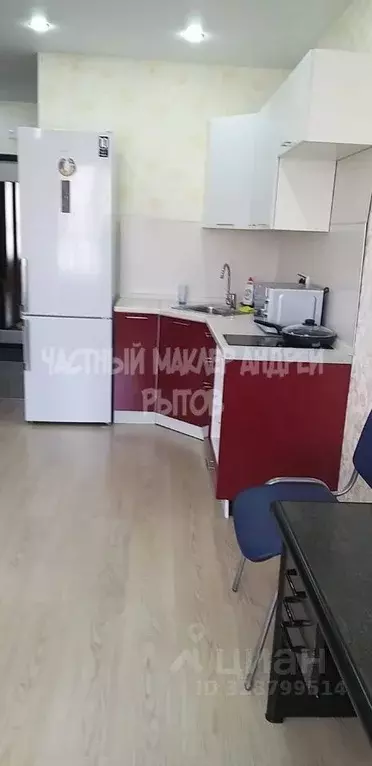 Студия Московская область, Ленинский городской округ, Лопатино пгт ул. ... - Фото 2