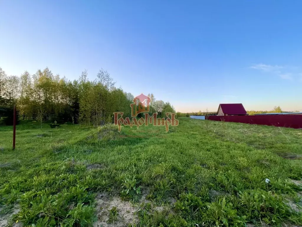 Участок в Владимирская область, Александровский район, Каринское ... - Фото 1