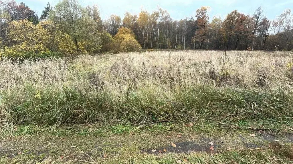 Участок в Московская область, Ступино городской округ, д. Дворяниново ... - Фото 1
