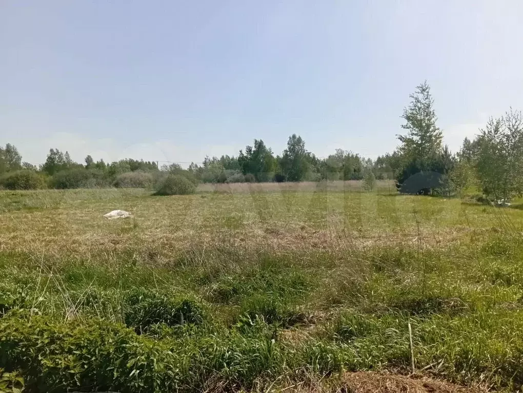 Участок 10 сот. (ИЖС) - Фото 0