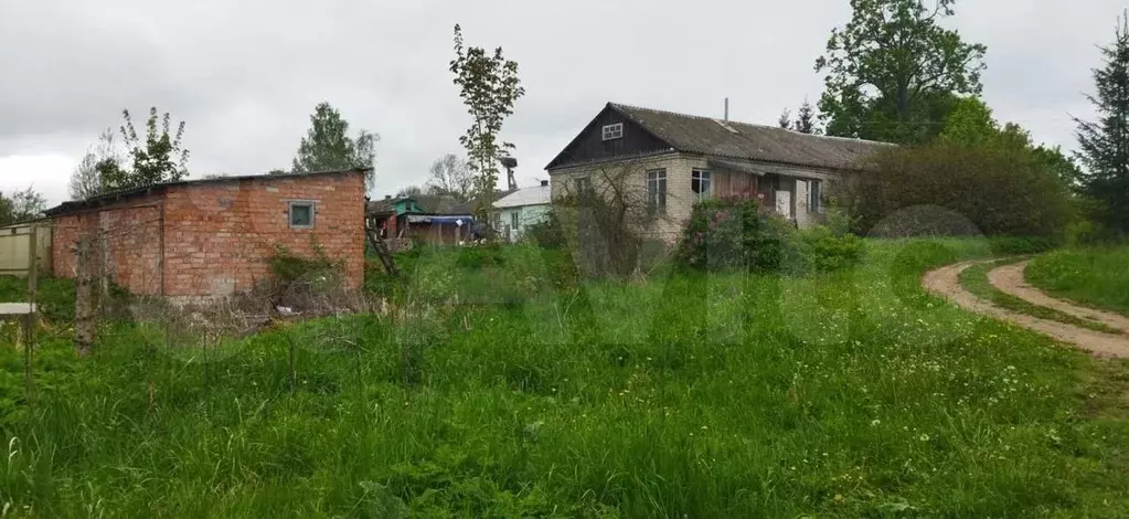 Своб. планировка, 60 м, 1/1 эт. - Фото 1