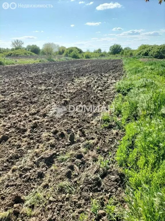 Участок в хутор Камышеваха, улица Кривошлыкова, 17 (15 м) - Фото 0