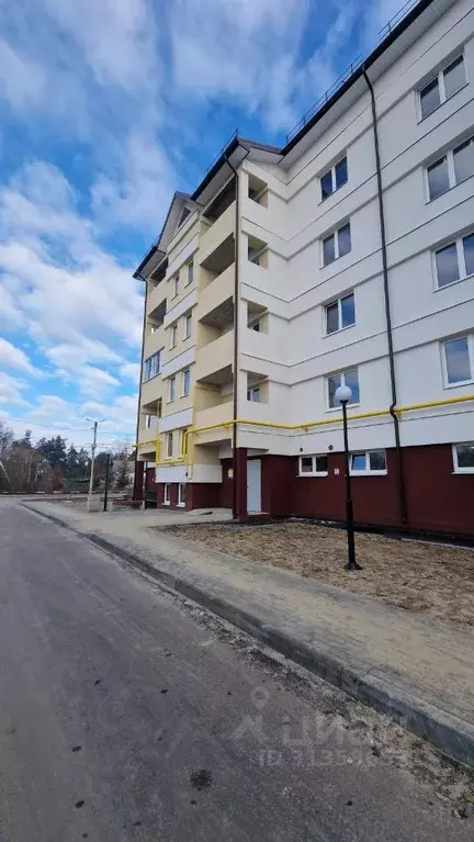 3-к кв. Владимирская область, Покров Петушинский район, ул. 3-го ... - Фото 1