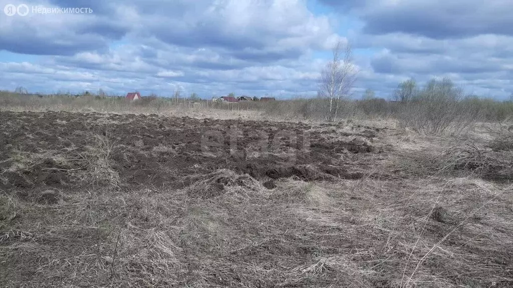 Участок в Новосибирский район, Толмачёвский сельсовет, село ... - Фото 2