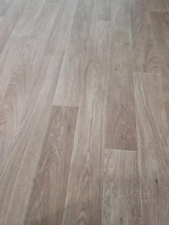 3-к кв. Пермский край, Пермь Студенческая ул., 1 (57.0 м) - Фото 2