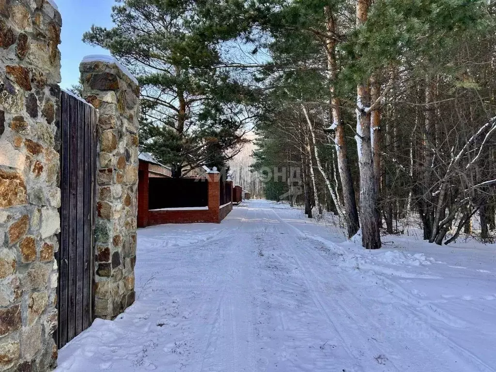 Коттедж в Новосибирская область, Ордынское рп, Мичуринец СНТ, 6-й кв-л ... - Фото 0