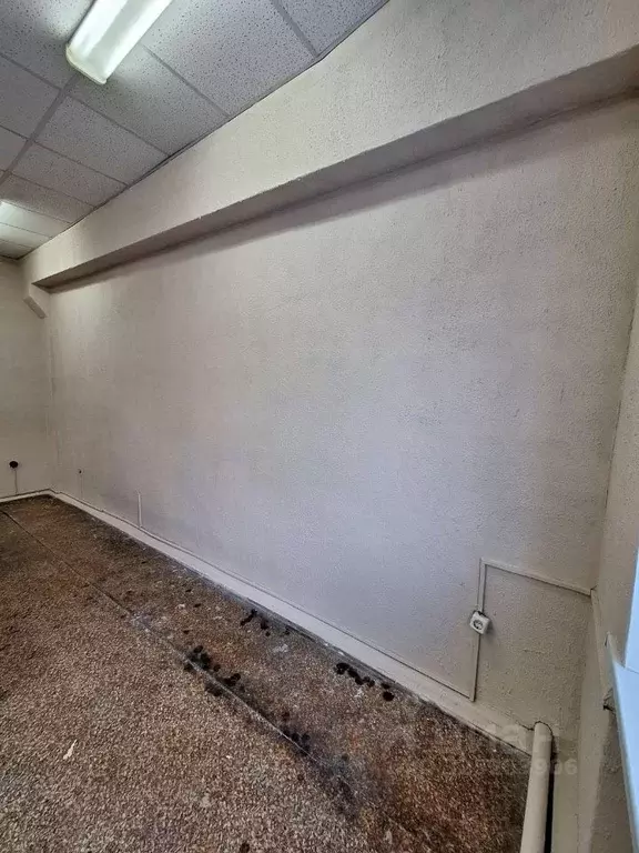 Офис в Саратовская область, Саратов Гвардейская ул., 2А (36 м) - Фото 2