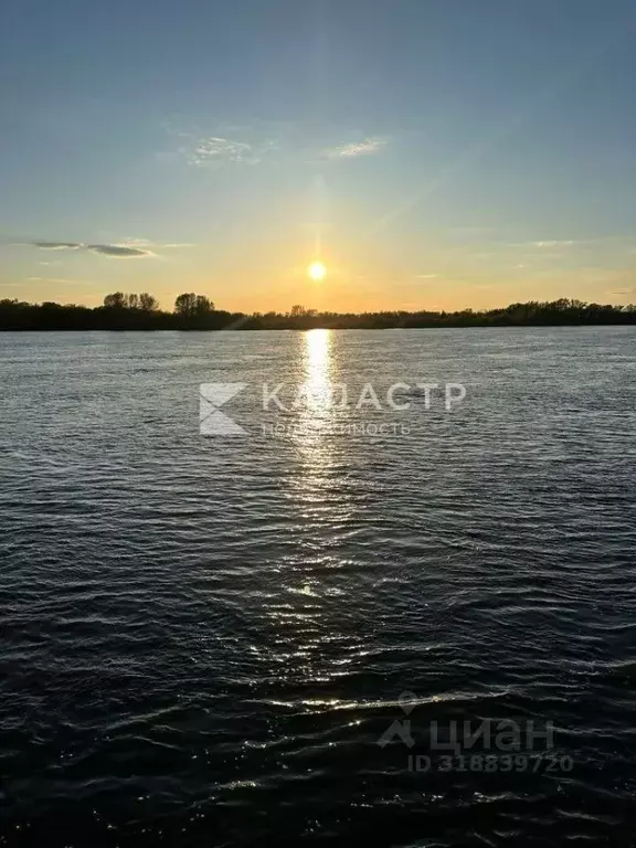 Участок в Нижегородская область, Бор Первая линия (170.0 сот.) - Фото 1