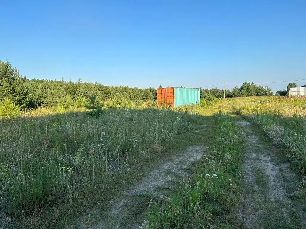 Участок в Брянская область, Брянский район, Новодарковичское с/пос, д. ... - Фото 0