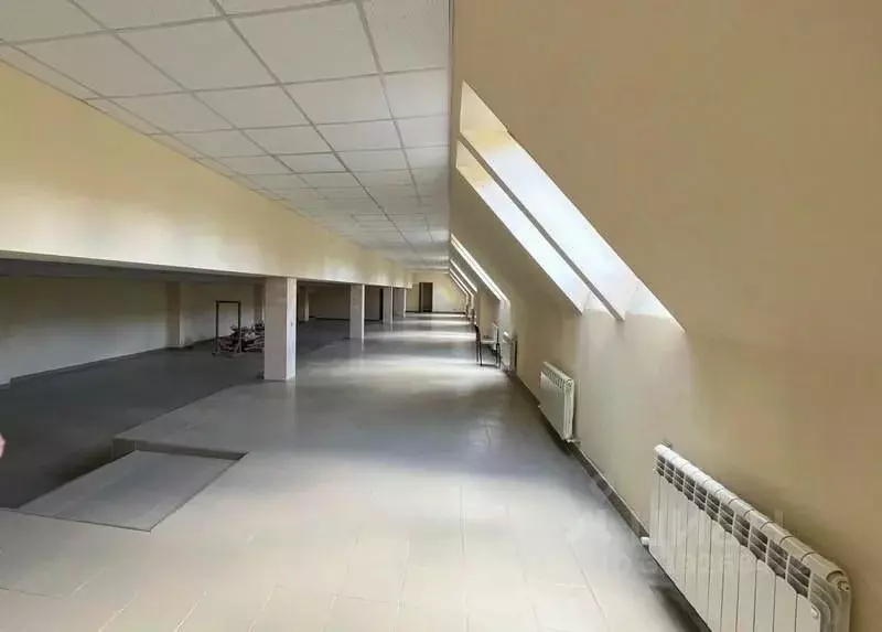 Офис в Нижегородская область, Нижний Новгород Березовская ул., 96А ... - Фото 1